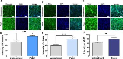 Enhancing wound healing through innovative technologies: microneedle patches and iontophoresis